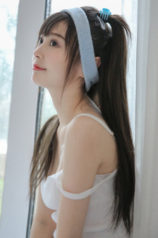 加勒比朝桐光